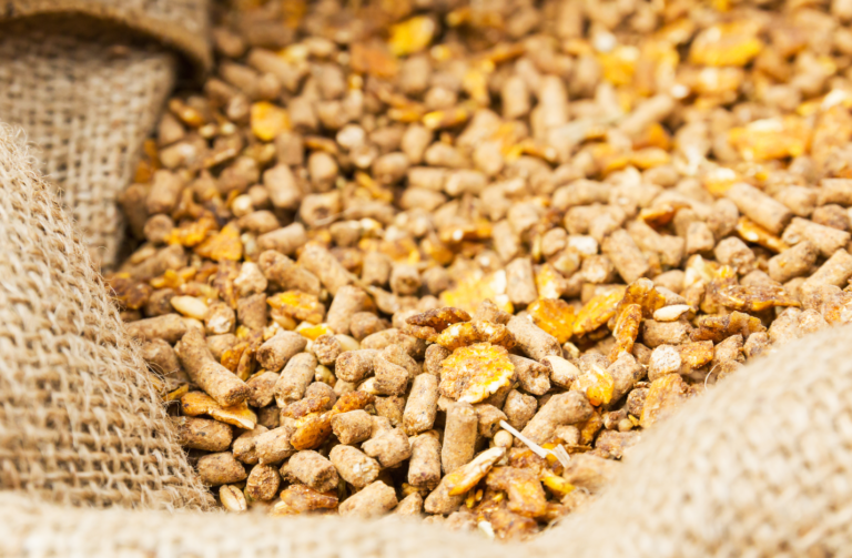 Soybean Meal Hipro Compass Feeds