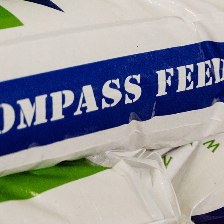 Compass Feeds | Stock Feed | Mount Compass