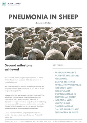 Pneumonia In Sheep Update June 2021